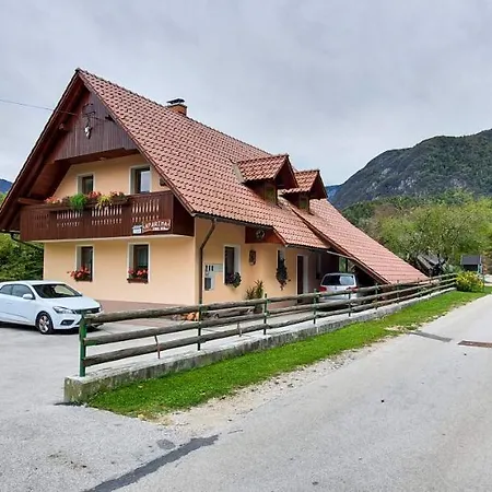 Apartmaji Bohinj Exterior photo