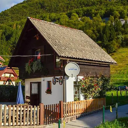 Apartmaji Bohinj Exterior photo