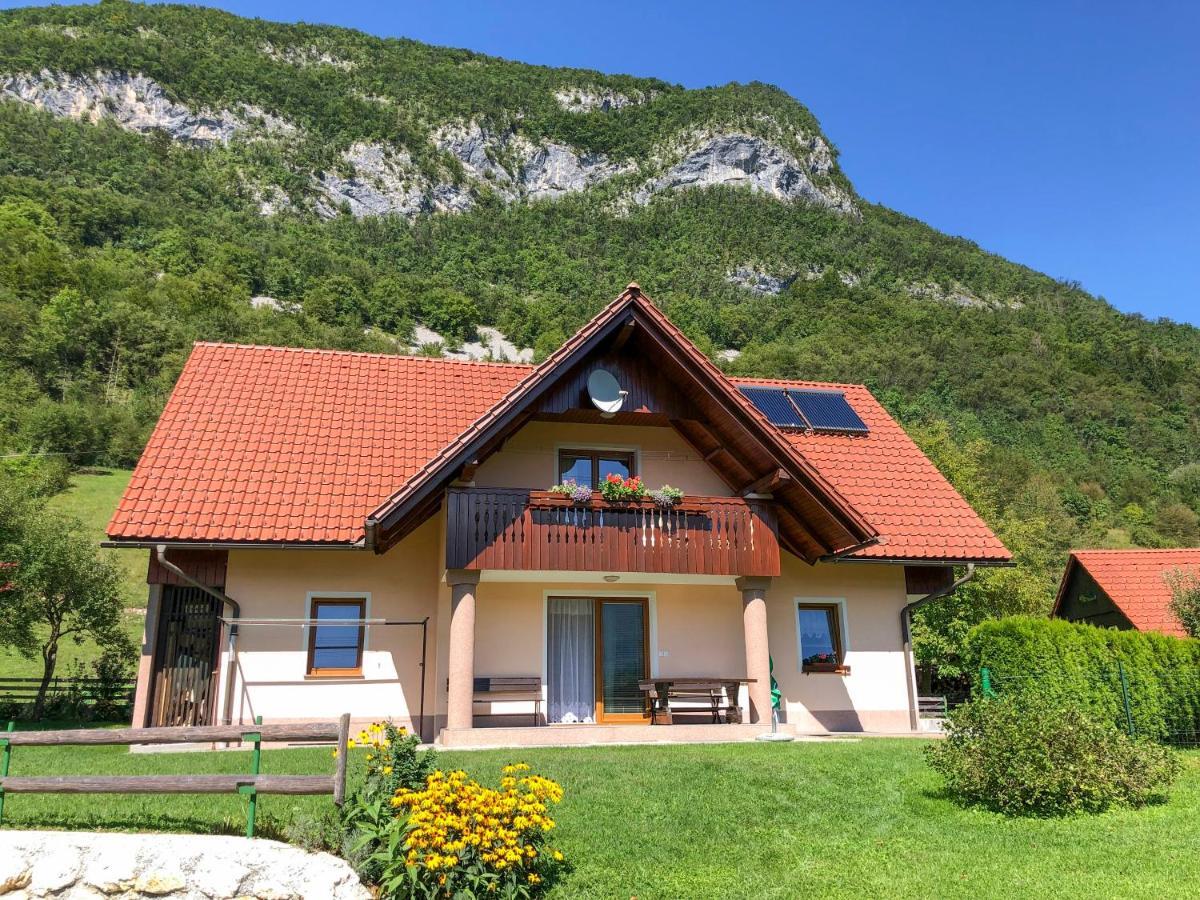 Apartmaji Bohinji-tó